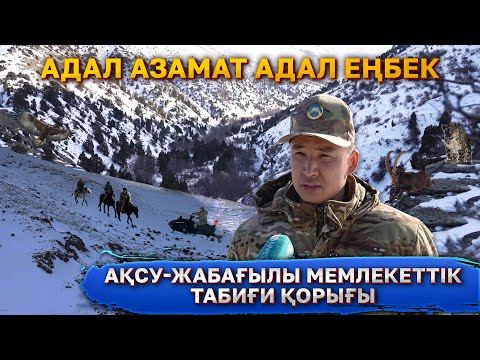 Видео: Ақсу жабағылы қорығы | Адал азамат - Адал еңбек