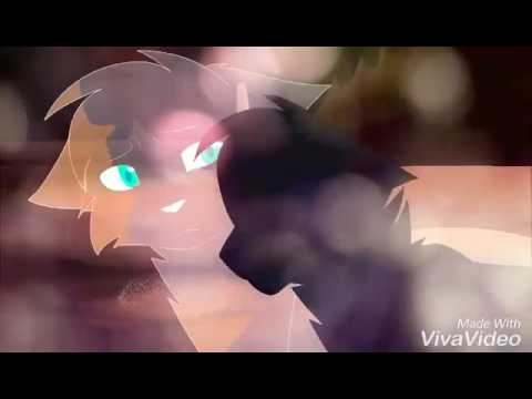 Видео: Дай пять!