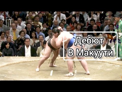Видео: Дебют Монгольского монстра Итинодзе в Макуути Сумо на русском 2025 (Aki Basho 2014)