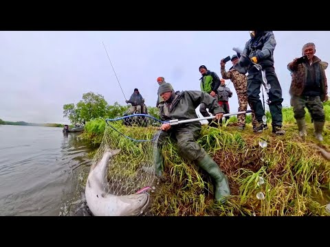 Видео: СОБРАЛ ВЕСЬ БЕРЕГ КОГДА ДОСТАВАЛ ЭТОГО МОНСТРА! РЫБАЛКА НА КАМЧАТКЕ 2025