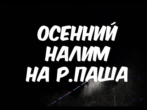 Видео: Ловля налима на р.Паша