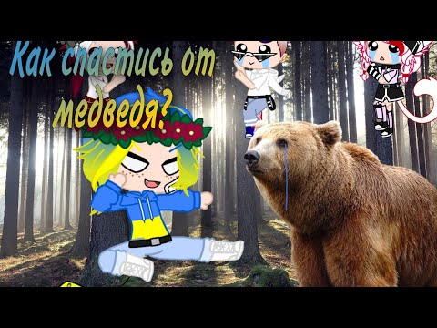 Видео: ||countryhumans||уральские пельмени||Gacha Club||