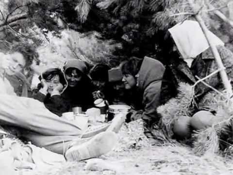 Видео: Белые дороги...(НИИГАиК-СГГА).wmv