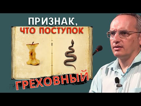 Видео: ПРИЗНАК, указывающий на то, что поступок - ГРЕХОВНЫЙ. Торсунов О.Г.