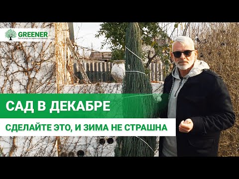 Видео: Садовые работы в ДЕКАБРЕ. Как подготовить сад к зиме? СОВЕТЫ САДОВОДА