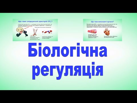 Видео: Біологічна регуляція  Фізіологія людини