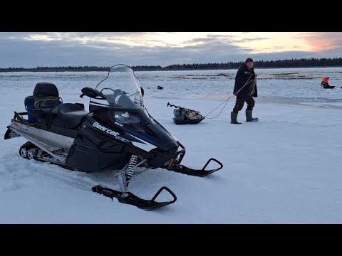 Видео: На первый лёд! Зверь после летней спячки снова в деле! Река Печора.