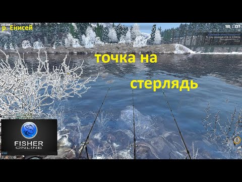 Видео: Fisher Online / точка на стерлядь, река Енисей