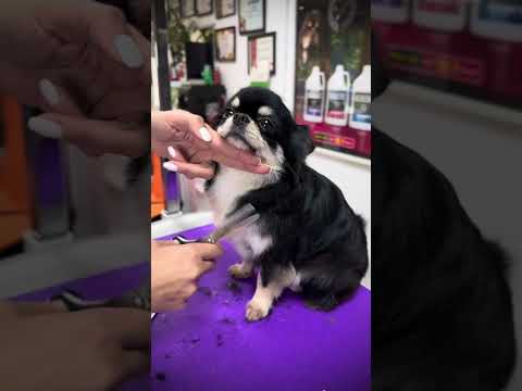 Видео: Един ПРЕКРАСЕН ден ❤️