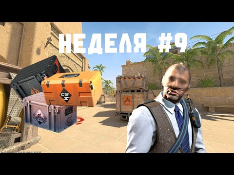 Видео: Ферма 7 праймов, еженедельный отсчет #9