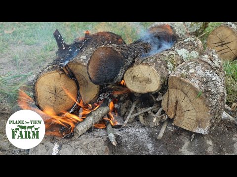 Видео: Очень простое удаление пня — как выжечь пень