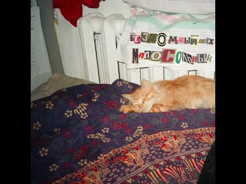 Видео: бездомный лох - малосольный (2020)