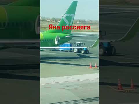 Видео: 8 ноября 2025 г.