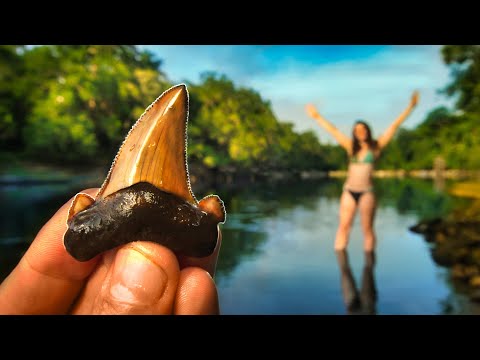 Видео: Она сделала это СНОВА! Невероятная находка окаменелостей при исследовании океанского дна возрасто...