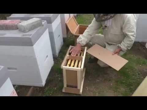 Видео: Последний раз даю пакеты 28.04.2020