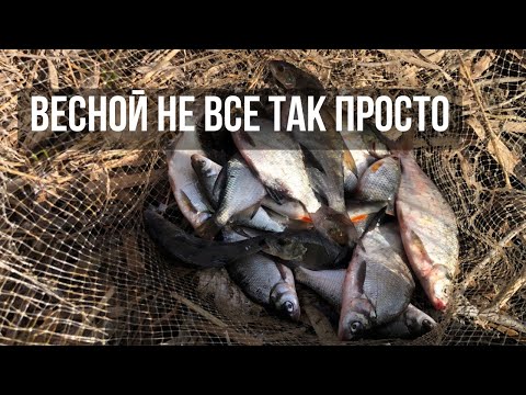 Видео: ВРЕМЯ ЭКСПЕРИМЕНТОВ! Рыбалка на фидер на водохранилище