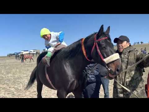 Видео: Шеңгелді ауылы Наурыз бәйге!