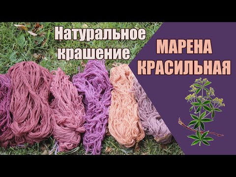 Видео: Крашение натуральными красителями. Марена красильная | Natural Dye Experiment