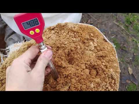 Видео: Засаждане на американска боровинка в контейнер