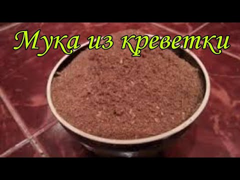 Видео: Мука из креветки. Уловистая добавка в прикормку.