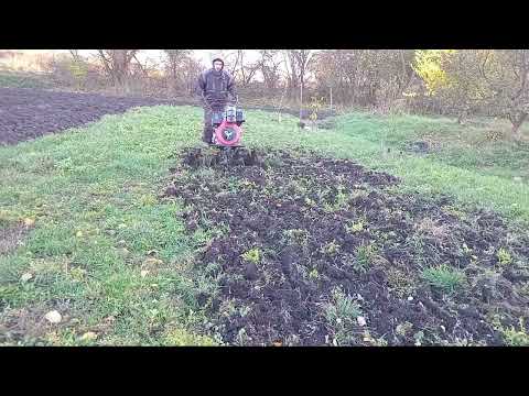 Видео: Обробка грунту ротоваторами. Мотоблок Форте 1000.