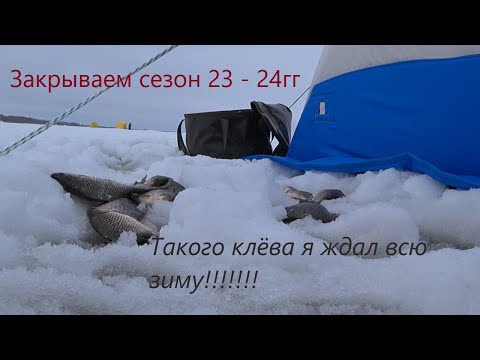 Видео: Закрываем сезон 23 - 24гг / Такого клёва я ждал всю зиму /оз. Салтоим шикарная награда.