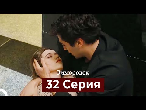 Видео: Зимородок 32 Cерия (Русский дубляж)