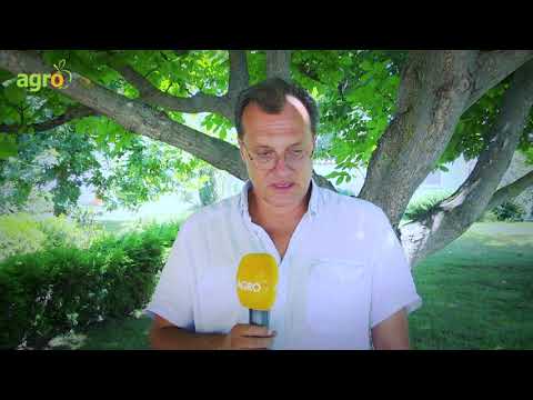 Видео: Животновъдството и преработката на прясно мляко - през погледа на Георги Хаджийски