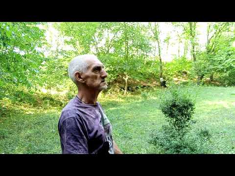 Видео: Луковые истории. Восстановление.