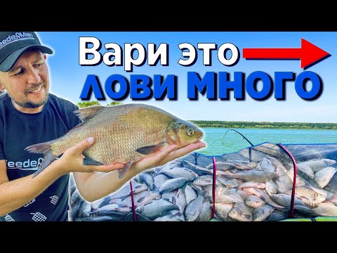 Видео: РЫБАЛКА НА ФИДЕР!  80 КГ РЫБЫ ЗА СУТКИ! ЗАБРОДИВШАЯ КУКУРУЗА!