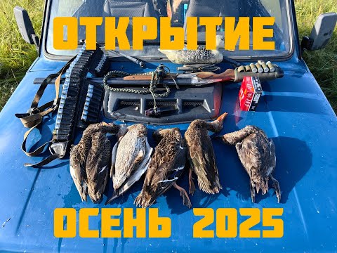 Видео: Открытие осенней охоты 2025
