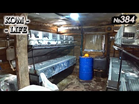 Видео: Аномальная ЖАРА / Как выживают СВИНЬИ и КРОЛИКИ?