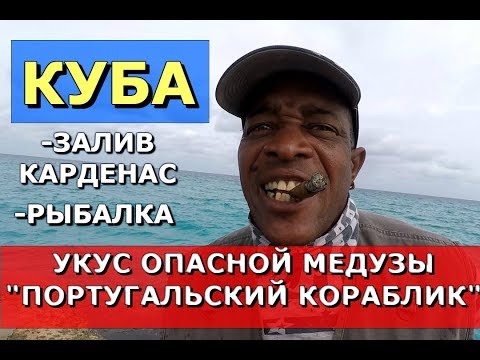 Видео: КУБА🇨🇺ВАРАДЕРО.👉УКУС ЯДОВИТОЙ МЕДУЗЫ.💰ЦЕНА НА РОМ, КОФЕ.🐠 РЫБАЛКА. ЗАЛИВ КАРДЕНАС.Хочу на Кубу 2023!