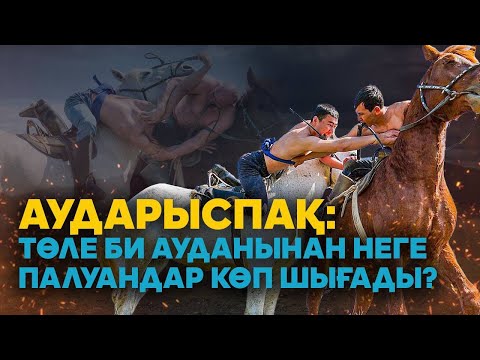 Видео: АУДАРЫСПАҚ: ЧЕМПИОНДАРДЫҢ АУЫЛЫНА БАРДЫҚ. ЖИЫРМА МИЛЛИОНҒА ЖЫЛҚЫ САТЫЛДЫ. АДАМ ПАЛУАН БОЛЫП ТУАДЫ.