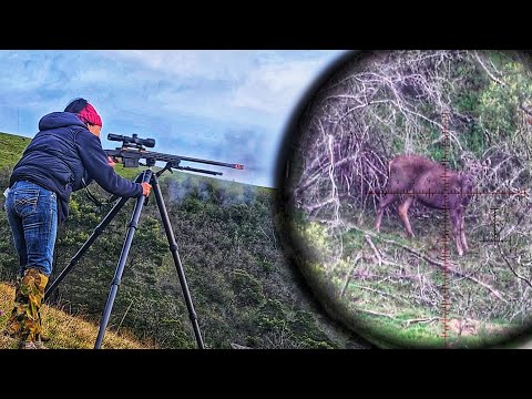Видео: Её ПЕРВАЯ охота на оленя-самбара — стрельба со штатива 300PRC