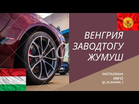 Видео: Венгрия-жумуш жөнүндө