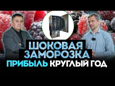 Видео: Как продать ягоды зимой и заработать в 3 раза больше? Секрет шоковой заморозки! Кыргызстан, Бишкек