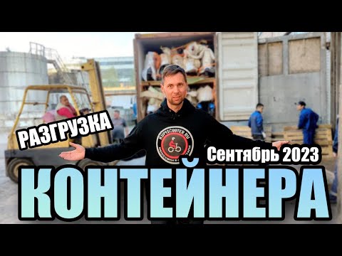 Видео: КОНТЕЙНЕР мототехники из Японии. Сентябрь 2023