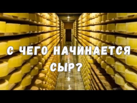 Видео: Путь к сыроделию. С чего начинается сыр? 