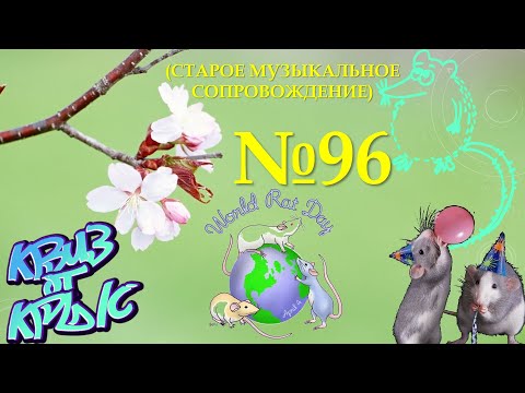 Видео: КВИЗ от КРЫС эпизод 96 (старое музыкальное сопровождение)