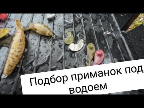 Видео: Подбор приманок под водоем