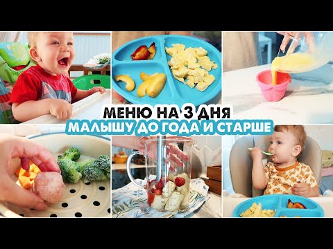 Видео: 👶ДЕТСКОЕ МЕНЮ ДЛЯ РЕБЕНКА ДО ГОДА И СТАРШЕ🍏НА 3 ДНЯ🥦НАШЕ МЕНЮ В 10 МЕСЯЦЕВ