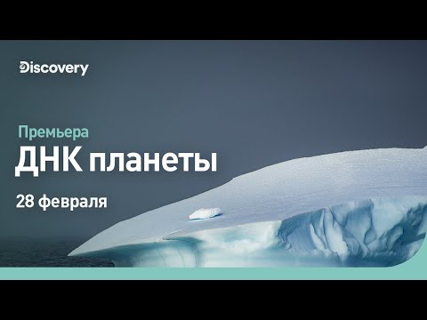 Видео: ДНК планеты | Арктика | Discovery