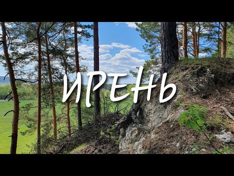 Видео: Однодневный сплав по реке Ирень. В поисках крупных голавлей.