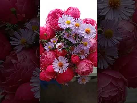 Видео: Сегодня День Рождения моей Мамы!💐 Принимаю Ваши поздравления и записки? 💌 Смотрите видео до конца❣️