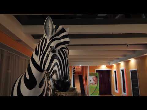 Видео: Фитнес-клуб "Зебра" Москва. Знакомство с клубом сети.