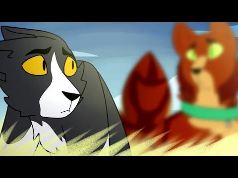 Видео: Коты Воители - Клип Звёздный луч и Джек _ Безумно можно быть первым...(заказ)