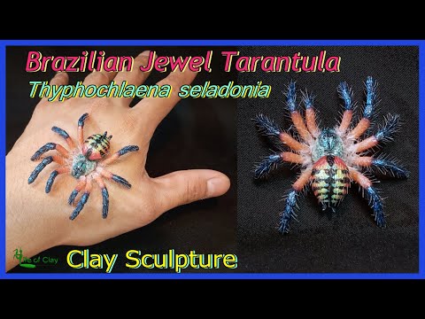 Видео: Создание скульптуры из полимерной глины «Бразильский тарантул-драгоценность» (Typhochlaena selado...
