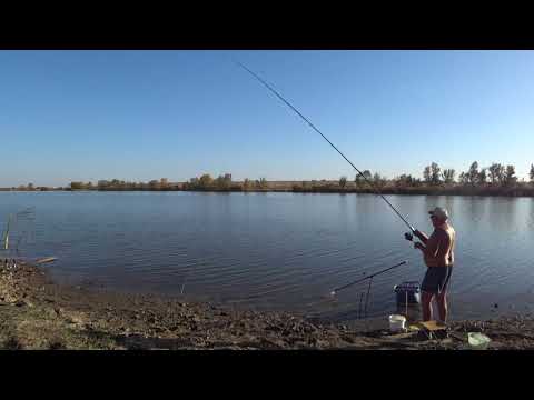 Видео: РЫБАЛКА НА ДИКОМ ПРУДУ / КАРАСЬ, КАРП, ЛЕЩ #рыбалка