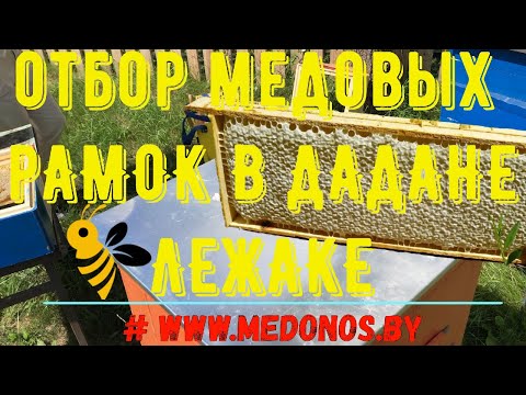 Видео: Отбор медовых рамок в 16-рамочном улье лежаке дадане с магазином.
